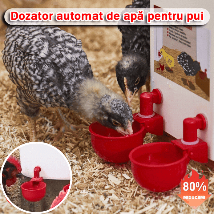 🔥🐔【Vásároljon 20-at, kap 20-at ingyen】【40db】automatikus baromfiitatótál