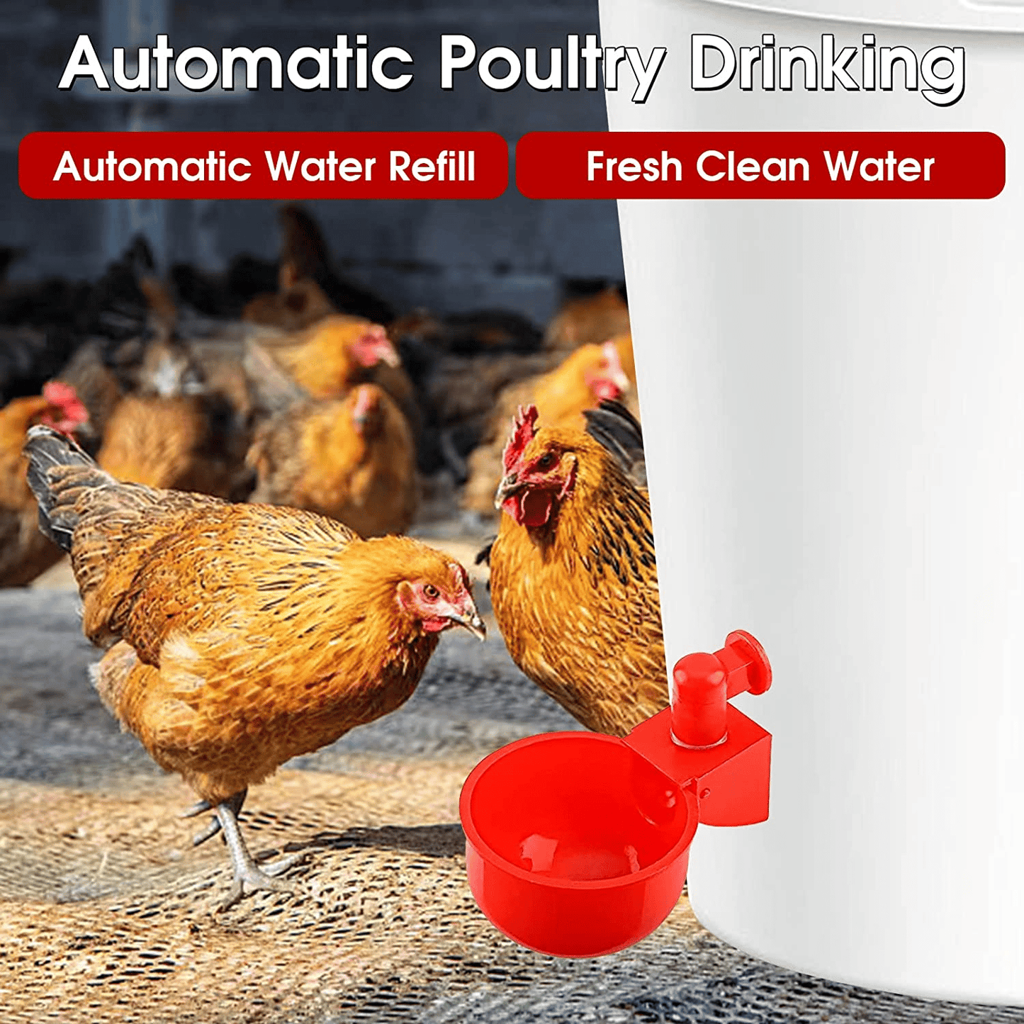 🔥🐔【Vásároljon 20-at, kap 20-at ingyen】【40db】automatikus baromfiitatótál