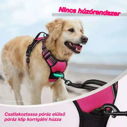 🦮Húzásmentes kutyapóráz