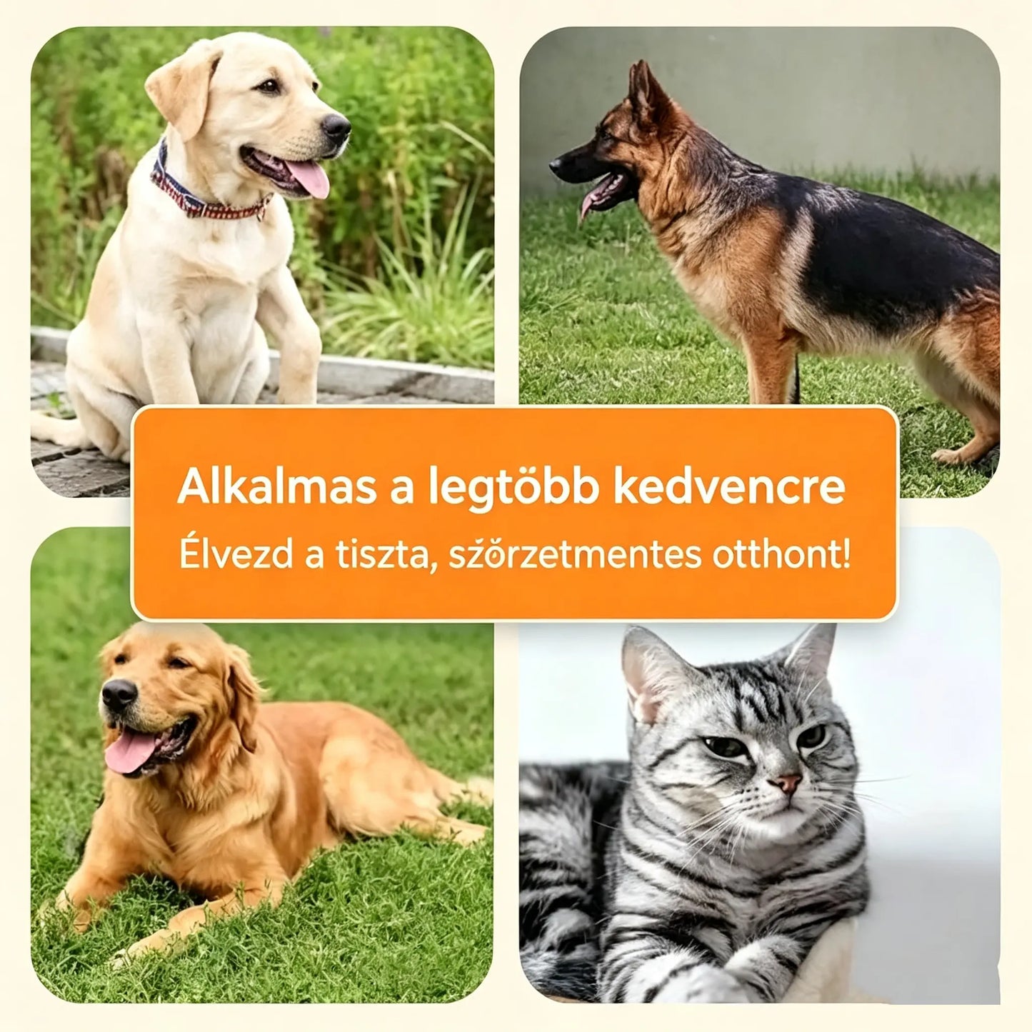 🐶🐱Professzionális eszköz kutyák és macskák szőrtelenítéséhez✨