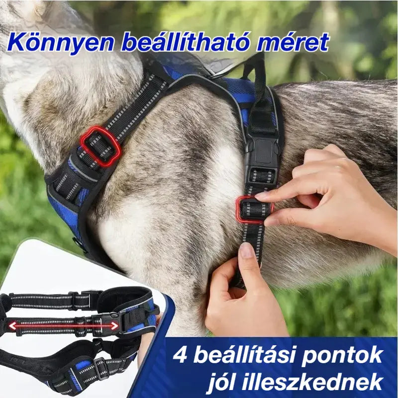 🦮Húzásmentes kutyapóráz