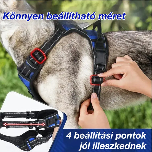 🦮Húzásmentes kutyapóráz